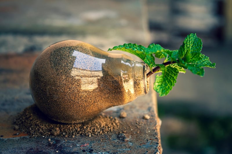 Sustainable Living